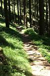 Trail.jpg