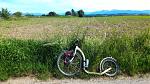 P_20170608_153741.jpg