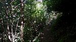IMG-20170626-WA0002.jpeg