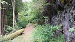 Trail.jpg