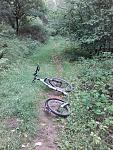 20170702_114707.jpg