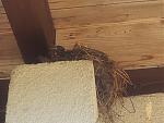 20170708_114814.jpg