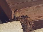 20170712_175849.jpg