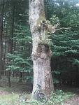 20170716_120419.jpg