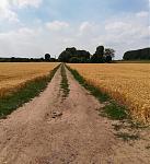 Felder2.jpg