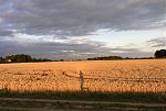 IMG_0772.jpg