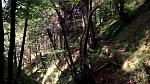 IMG_20170721_105014.jpg