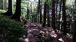 IMG_20170721_110116.jpg