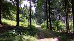 IMG_20170721_113613.jpg