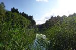 P1030509a.jpg