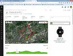 Lauf vom 6 August 2017.jpg