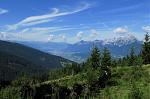 IMG_4753.JPG