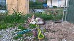 IMG-20170830-WA0000.jpg