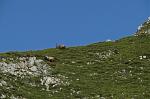 IMG_5108.JPG