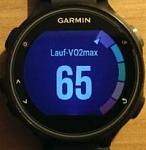 VO2max.jpg
