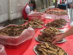 IMG_6005-s.jpg