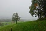 DSC03409.jpg