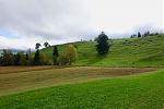 DSC03418.jpg