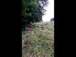 20170909_070942.jpg