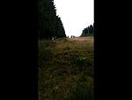 20170909_071237.jpg