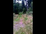 20170909_082128.jpg