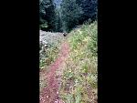 20170909_083536.jpg