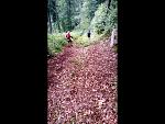 20170909_083722.jpg