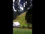 20170909_084741.jpg