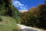 IMG_5380.JPG