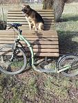 IMG-20170225-WA0001.jpg