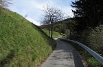 IMG_5560.JPG