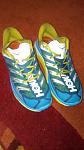 hoka1.jpg