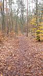 20171112_132558.jpg