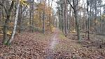 20171112_134447.jpg
