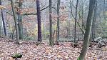 20171112_133953.jpg