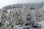 IMG_5973.JPG