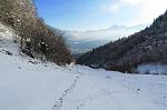 IMG_5979.JPG