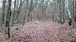20171126_140435.jpg