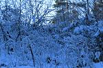 IMG_6019.JPG