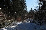 IMG_6022.JPG