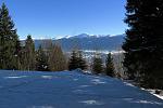 IMG_6026.JPG