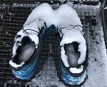 Laufschuhe-IMG_3633s.jpg