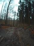 2017_1112_135418_058.jpg