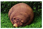 dicker bär.PNG