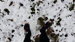 Schnee 1.jpg