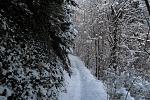 IMG_6033.JPG