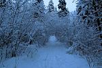 IMG_6036.JPG