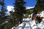 IMG_6082.JPG