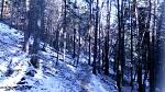 IMG-20171229-WA0009.jpeg