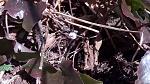 IMG-20180115-WA0008.jpeg